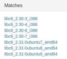 LIBC Search Matches